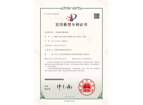 一種鏈條循環(huán)輸送機構(gòu)-實用新型專利證書